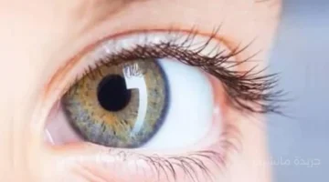 قرار جديد من الصحة.. ضوابط صارمة على استيراد قرنيات العيون لضمان أمان المرضى 1